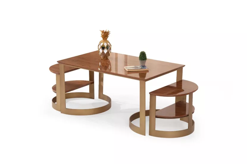 VORTEX ORTA SEHPA, PRİNÇ