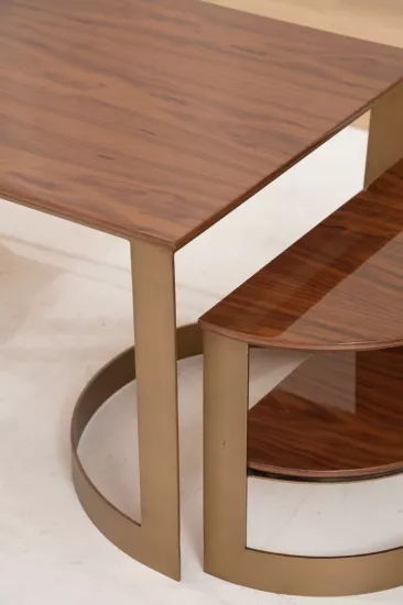 VORTEX ORTA SEHPA, PRİNÇ